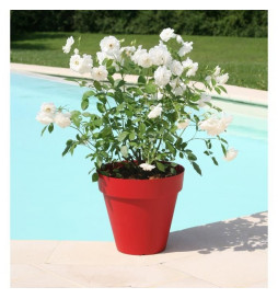 RIVIERA Pot de fleurs...