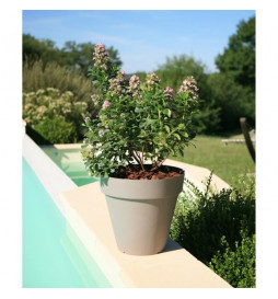 RIVIERA Pot de fleurs...