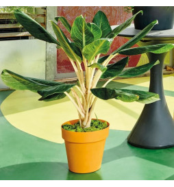 DEROMA Pot de fleurs rond...