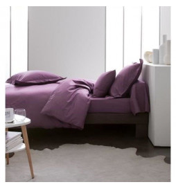 TODAY Drap plat 100% coton...