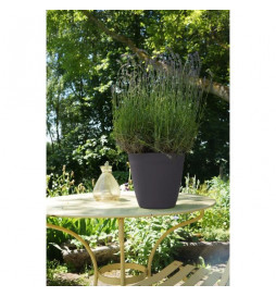 PoeTIC Pot Lilo 34 - Ardoise