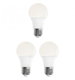 EXPERT LINE AMPOULE LED...