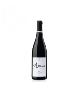 Amigos 2016 Tierra De...