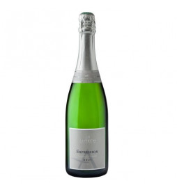 Antech Expression Brut -...