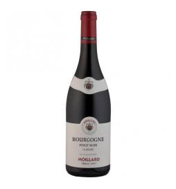 Moillard Bourgogne Pinot...