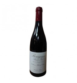 Nicolas Potel 2019 Pinot...