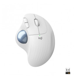 Souris Ergonomique - Sans...