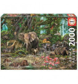 EDUCA Puzzle 2000 Pieces -...