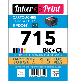 Pack de Cartouches d'encre...