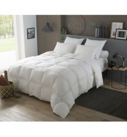 Couette Duvet - 220 x 240...