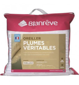 BLANREVE Oreiller Plumes...