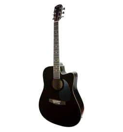 DELSON HW-41 Guitare Folk...