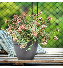 DEROMA Pot de fleurs Ninfea...