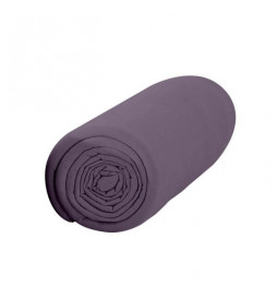 TODAY Drap housse 100%...
