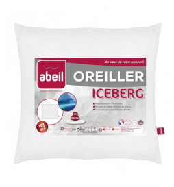 ABEIL Lot de 2 Oreillers...