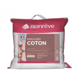BLANREVE Lot de 2 Oreillers...