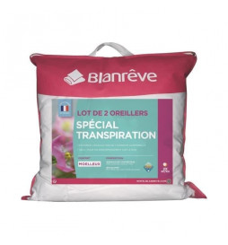 BLANREVE Lot de 2 Oreillers...
