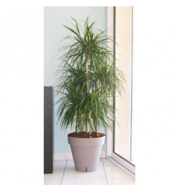 RIVIERA Pot de fleurs Loft...
