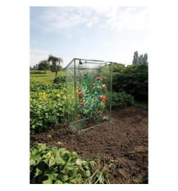Nature Serre a tomates...