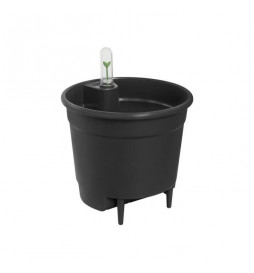 Self-watering Insert 21...