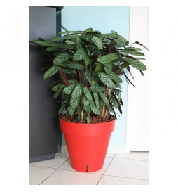 RIVIERA Pot de fleurs Loft...