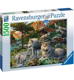 Puzzle 1500 p - Loups au...