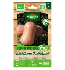 Courge musquée Waltham...