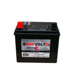 Batterie tondeuse RAYVOLT...