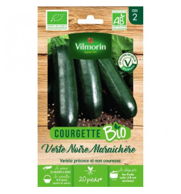 Courgette verte noire...