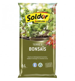 ALGOFLASH - Terre a Bonsais...