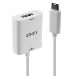 LINDY Convertisseur USB 3.1...