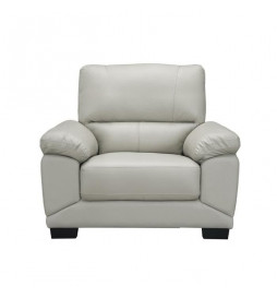 Fauteuil - Cuir et simili...