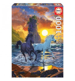 EDUCA - Puzzle - 1000 Des...