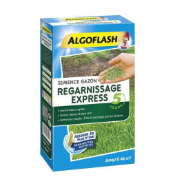 ALGOFLASH - Gazon...