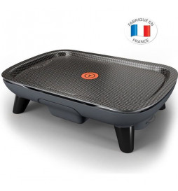 TEFAL - Plancha DES SAVEURS...