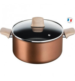 TEFAL G2544602 Faitout 24...