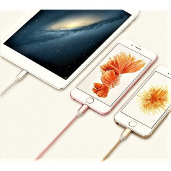 Pack de 2 Cables Metal Nylon pour IPHONE Lightning APPLE Chargeur Connecteur