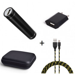 Pack pour IPHONE (Cable Chargeur Lightning Tresse 3m + Pochette + Batterie + Prise Secteur) APPLE