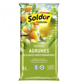 ALGOFLASH - Terreau Agrumes...
