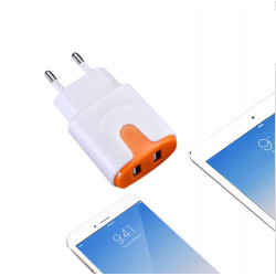Adaptateur Secteur Couleur USB pour Smartphone Tablette Double Prise Murale 2 Ports Courant AC Chargeur (5V-2A) Universel