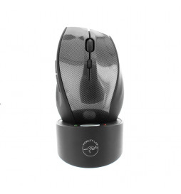 MOBILITY LAB - Souris...