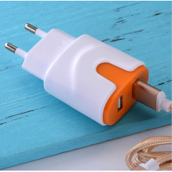 Adaptateur Secteur Couleur USB pour Smartphone Tablette Double Prise Murale 2 Ports Courant AC Chargeur (5V-2A) Universel