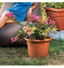 DEROMA Pot de fleurs rond...