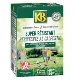 KB - Semences gazon - Super...