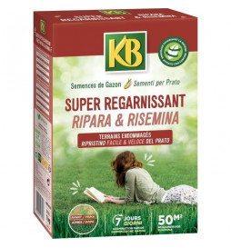 KB - Semences gazon - Super...