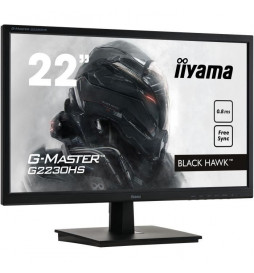 Ecran PC Gamer - IIYAMA...