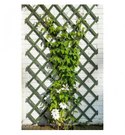 Nature Trellis de jardin 50...