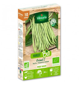 Haricot nain vert sans fil...