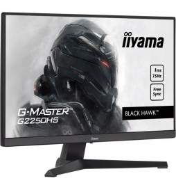 Ecran PC Gamer - IIYAMA...