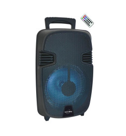 INOVALLEY KA17 - Enceinte...